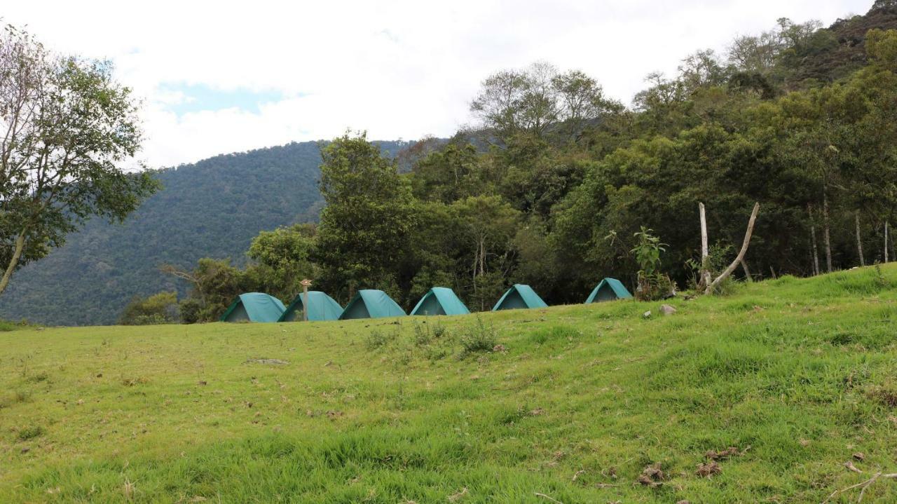 Llactapata Overlooking Machu Picchu - - Restaurant