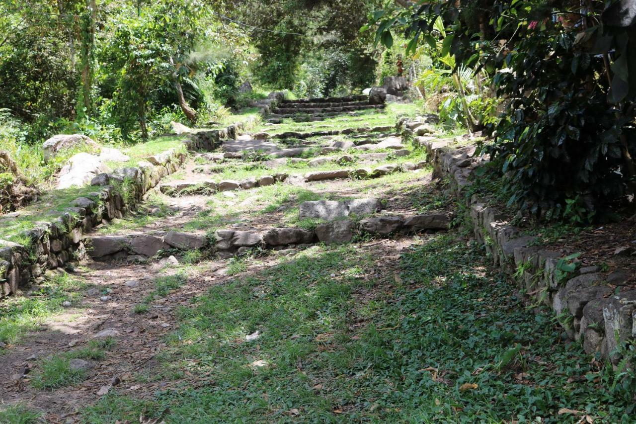 Llactapata Overlooking Machu Picchu - - Restaurant Lodge *