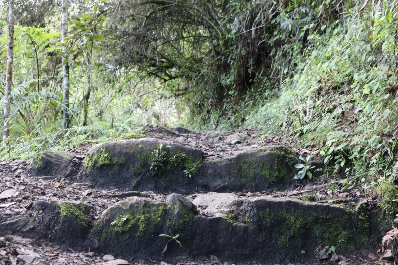 Llactapata Overlooking Machu Picchu - - Restaurant *